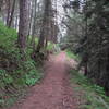 climbing up where an old train trustle was located on SE edge of the lake