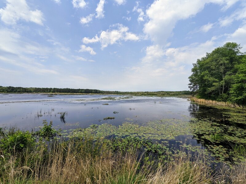 Pakim Pond