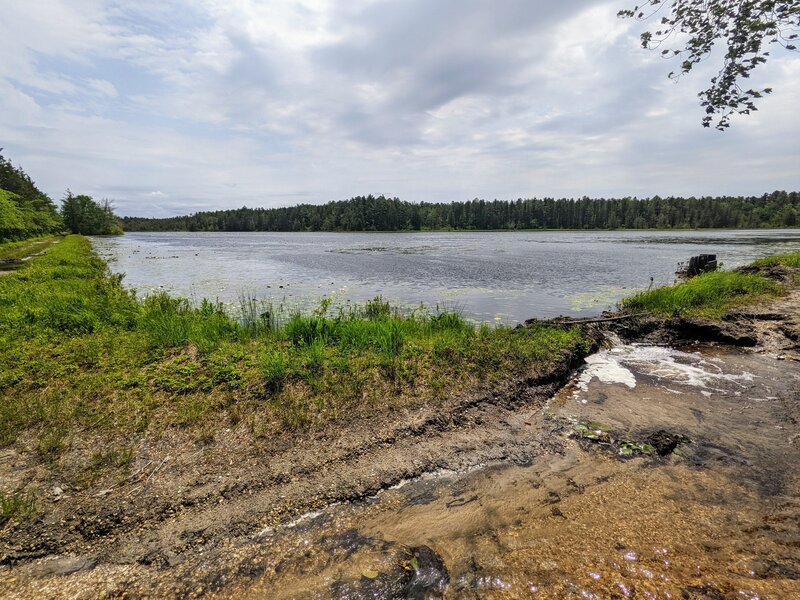 Pakim Pond spilling out onto the fire road