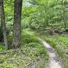 Relatively Easy way to get back to Panthertown valley trail