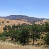 The view towards Lick Observatory