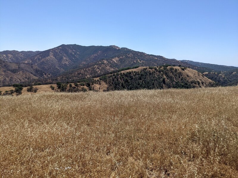 Lick Observatory on the distant ridge (looks much closer in person)