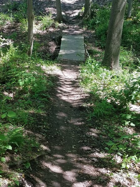 The only bridge crossing on the trail.