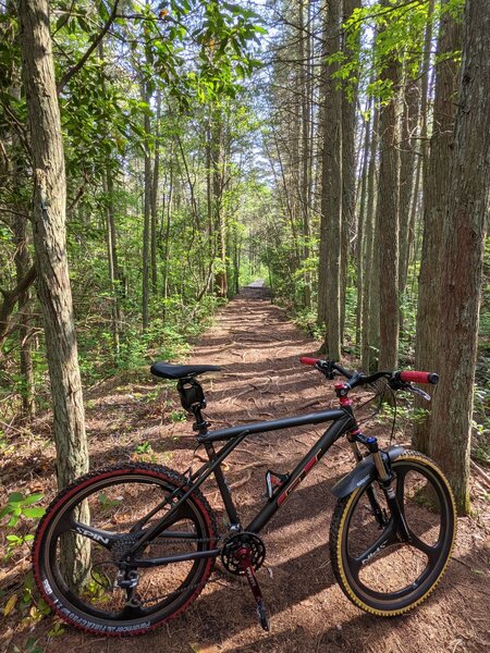 Fun root section after the tilted Raccoon Bridge that gets narrow really quick