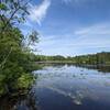 Vista of the Wells Mills Pond from the floating dock