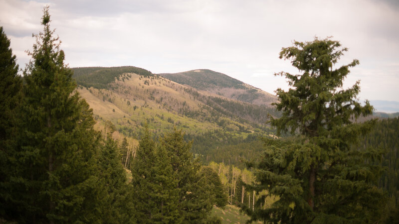 The view of Chicoma Mountain from the end of Polvadera Road