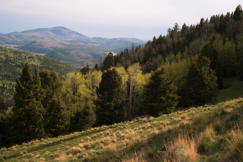 The view towards Redondo Peak from the end of Polvadera Road