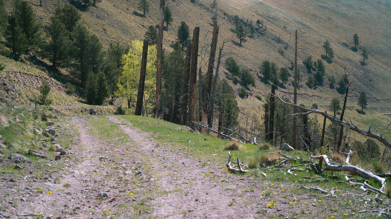 Going down Cerro de la Garita Water Connector