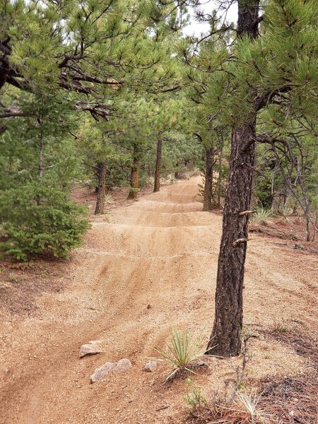 One of several sections like this on the trail.