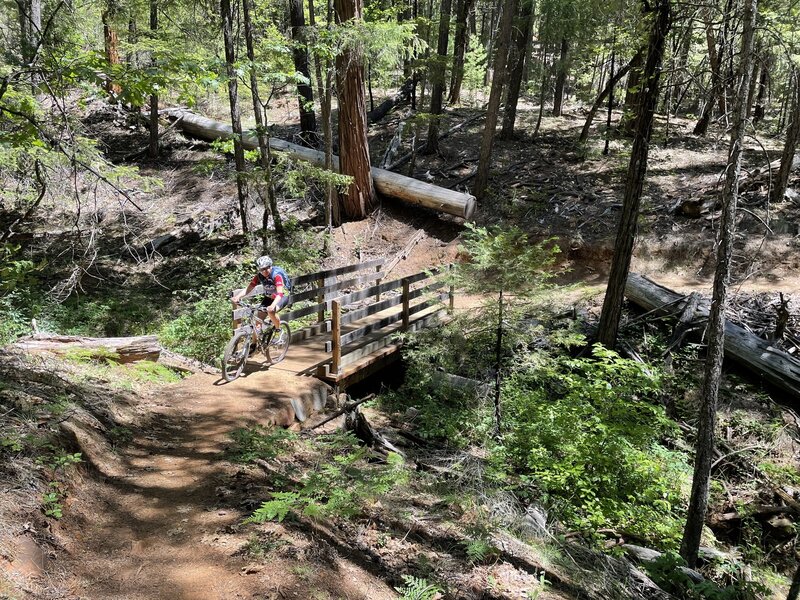 Small sturdy bridge over dry creek.