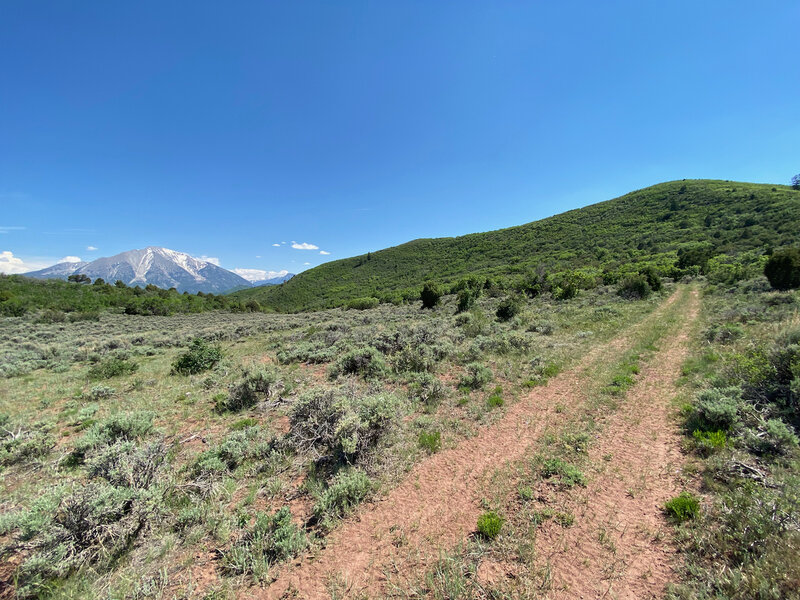 Climbing south on 8275, Mount Sopris peaking up on your left.