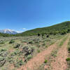 Climbing south on 8275, Mount Sopris peaking up on your left.