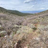 Looking down the south gully descent of Lorax Trail, nice raw trail experience and challenges ahead.