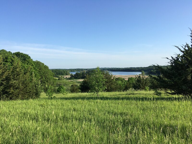 Overlook on Raptor Ridge