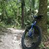 Unicycling on Soldier's Creek MTB Trail :)