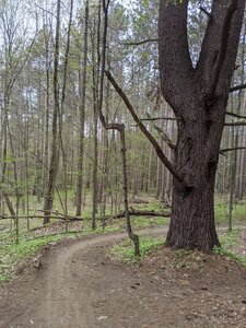 The first berm of the Extendo Loop.