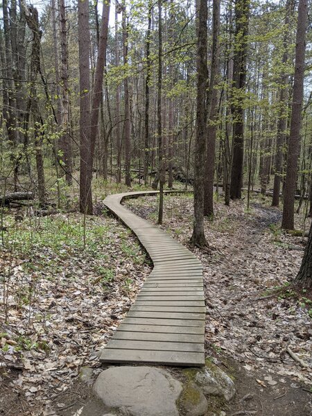 The first bridge on the Flo climb.