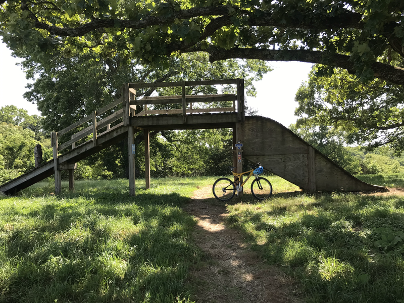 Feature at the start of the downhill trail.