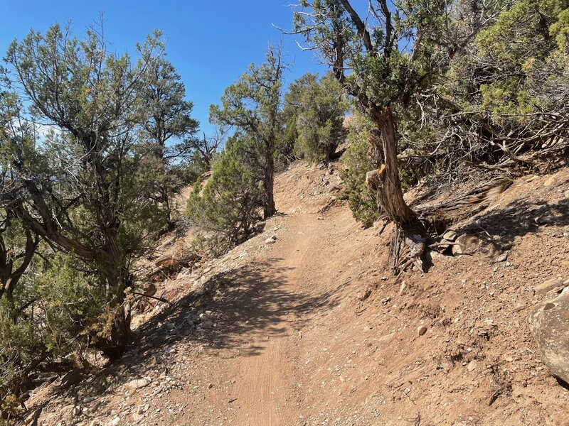 Nice flowy climbing.