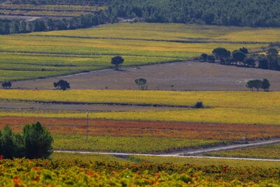 View of the Alhorines, from a middle area of ​​the route in autumn. Vista de los Alhorines,desde una zona media de la ruta en otoño.