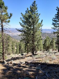View into the valley.