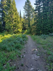 Trail heading east.