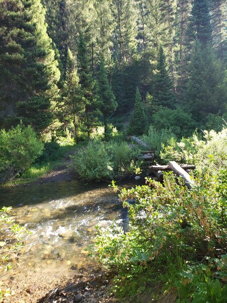 Canyon Creek.