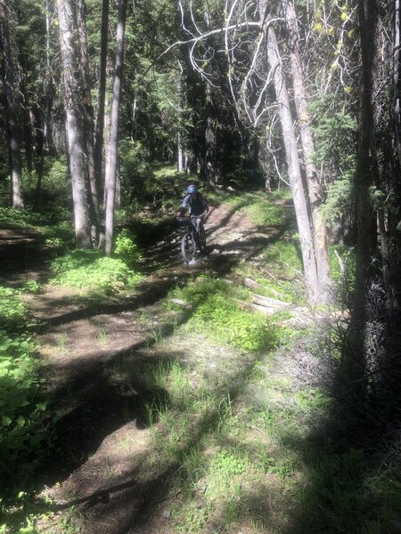 Creek Crossing.