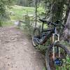 First creek crossing on the Wyoming Trail (The Divide Trail/Mountain View).  Mid-June, so water is easily passable.