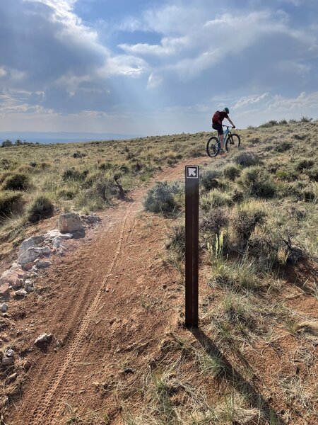 Trail 10 going up.