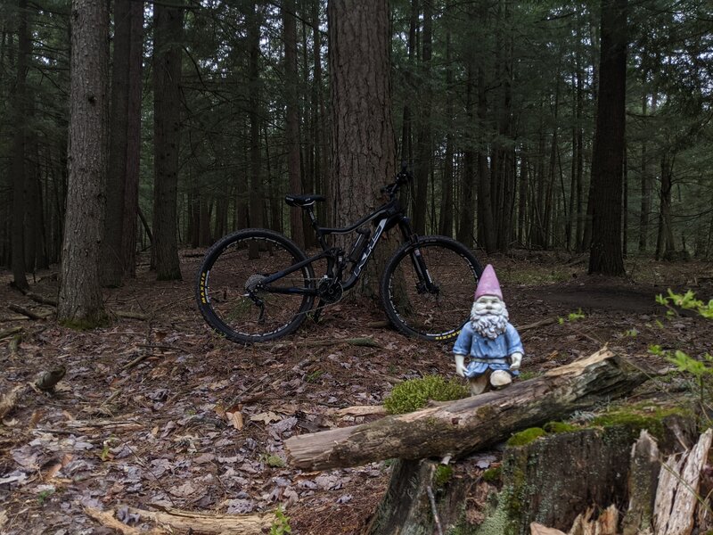 The gnome on Out 'n Back that signals the spot where you can take Gnome Road back to the doubletrack loop.