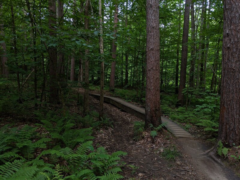 The narrowest of Flo's bridges, you can optionally go around in drier conditions.