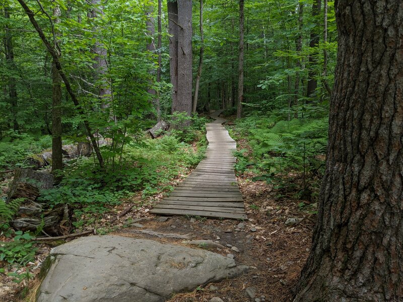 The end of the first bridge, watch out for the big rock :)