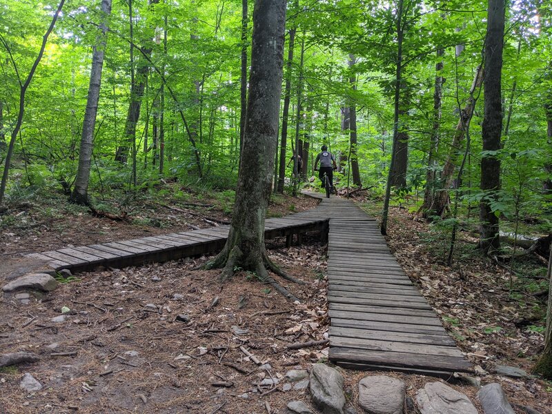 The first bridge of Lower Flo, it splits so it can be ridden from halfway up or from the very top.