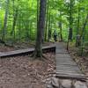 The first bridge of Lower Flo, it splits so it can be ridden from halfway up or from the very top.