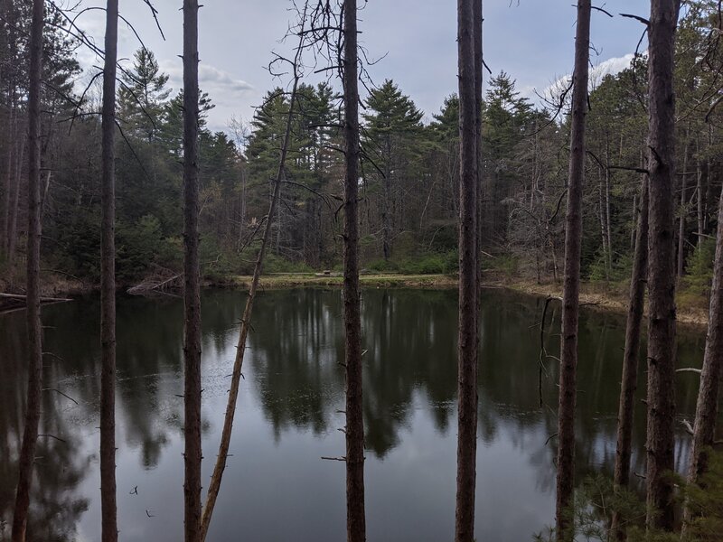 Sandbridge and the pond as seen from Mo Flo.