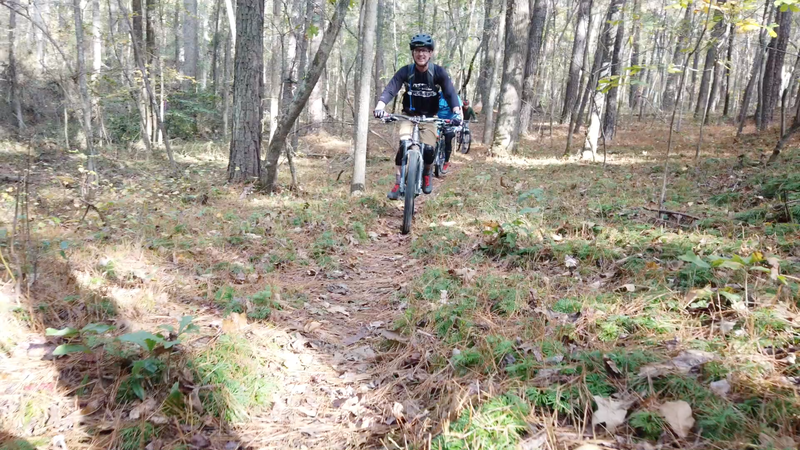 GTF singletrack group ride going through a patch of running cedar.