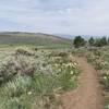 First mile of the trail (starting at Granby Ranch at the bottom).