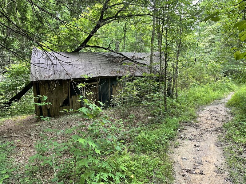 Old shed.