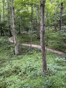 Typical terrain.