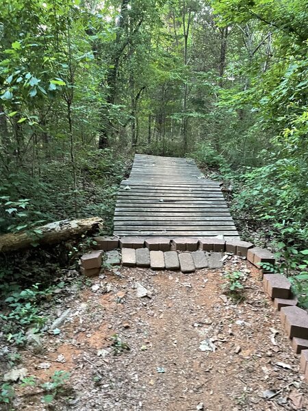 A bridge that has a whale tail feel but can be rolled.