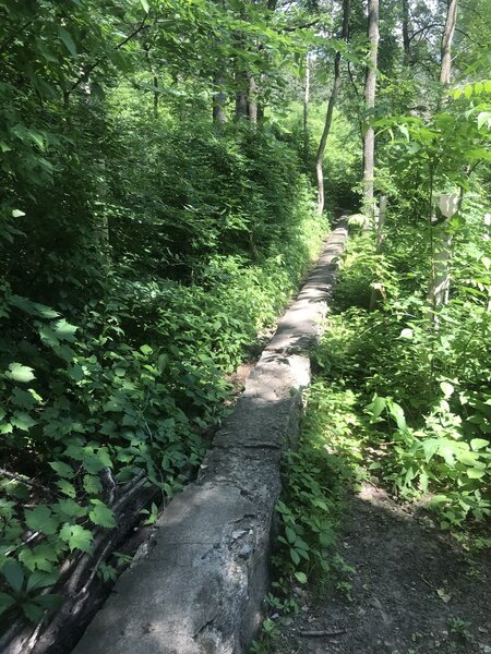 Awesome concrete skinny that connects Overlook trail and Travis' trail.