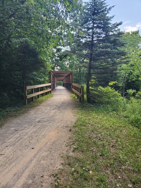 Plenty of tree cover on this section of the Montour.