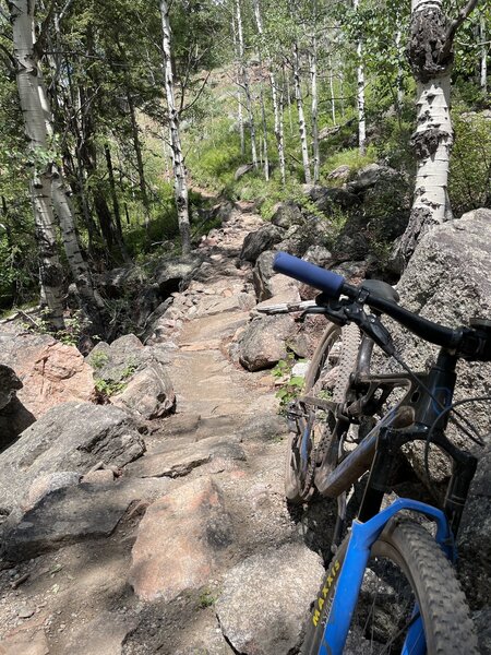 Although this is a tough section, the downhill features and trail are very well designed and negotiable.  Watch for a larger rock drop at the very end.