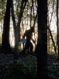 A sighting on Rudolph farm Trail.