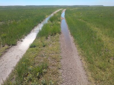 The only water feature on the trail. It rained a little last night.