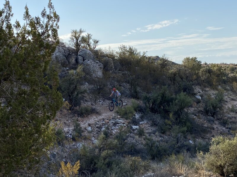 Bones trail.