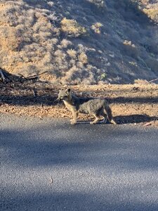 Please know that the steep uphill climb from Little Harbor to Airport Road on the Middle Ranch Road is 11 miles long, all UPHILL.
