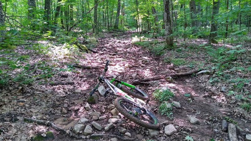 Typical surface of MOST of Iron Mountain trail. Washed out, sandy. loose rock. Almost impossible to ride.