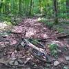 Typical surface of MOST of Iron Mountain trail. Washed out, sandy. loose rock. Almost impossible to ride.